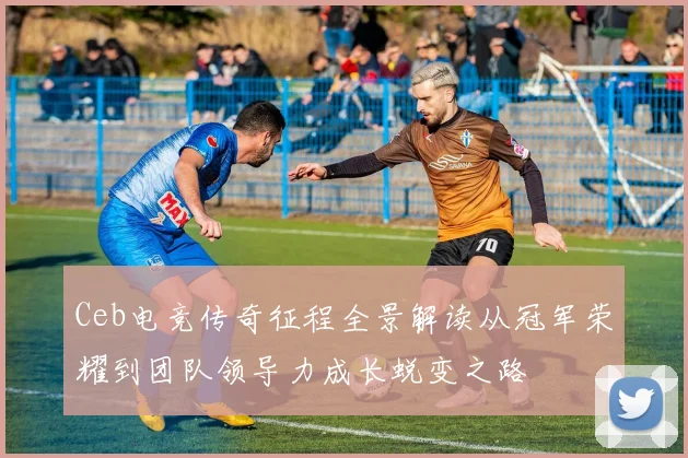 Ceb电竞传奇征程全景解读从冠军荣耀到团队领导力成长蜕变之路